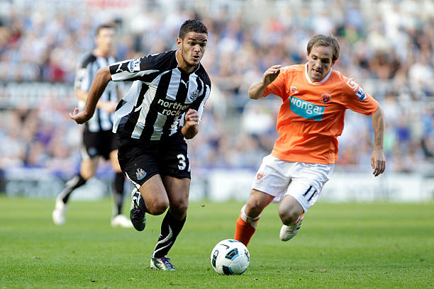 和果敢的进 和果敢的进