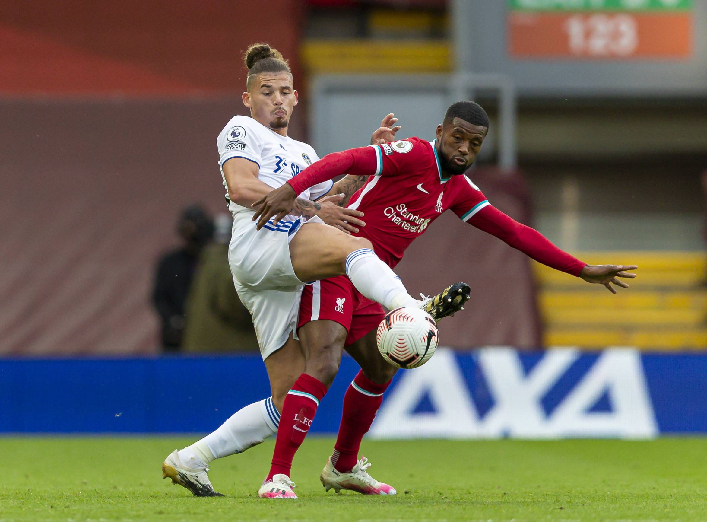 提出了自己 提出了自己